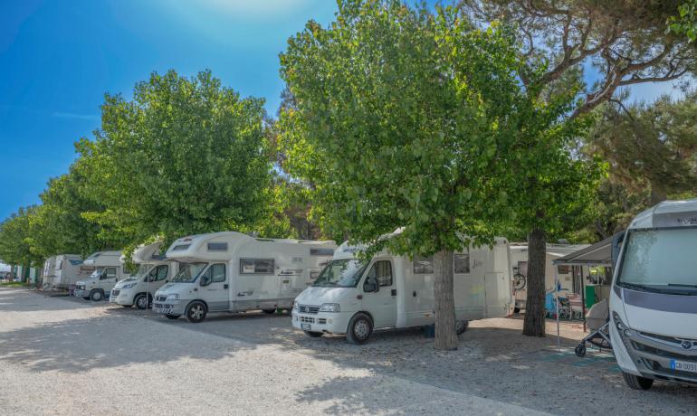 Campers parked under trees in a sunny rest area.