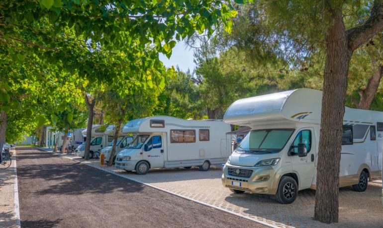 Campers parked in a shaded area with green trees.