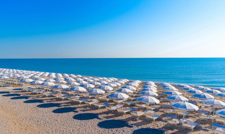 Beach with many white umbrellas, calm sea, and clear sky.