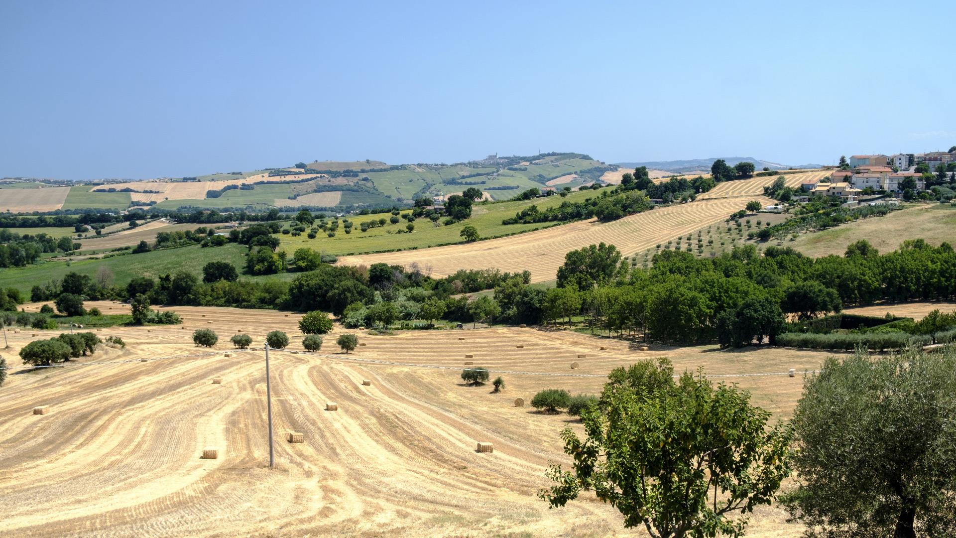 holidayfamilyvillage it vacanze-marche 017