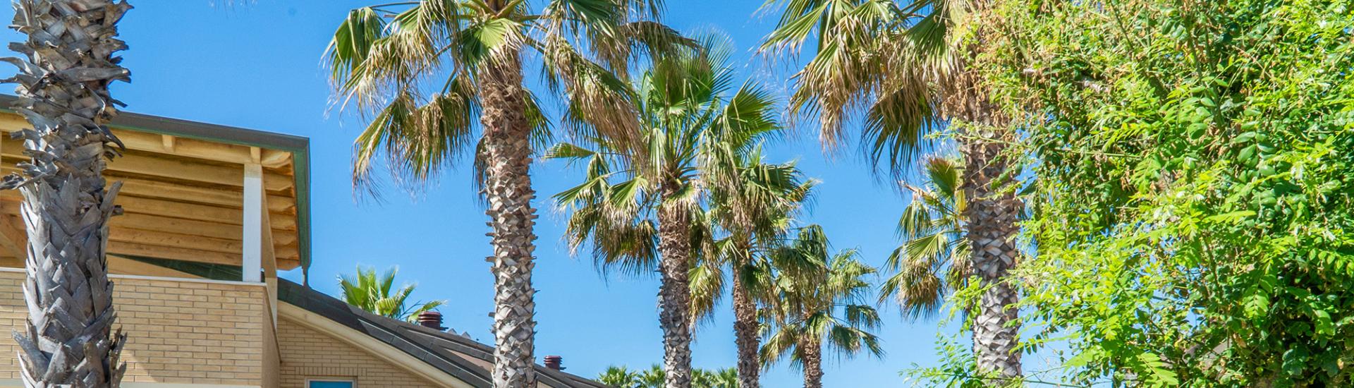 holidayfamilyvillage it casa-vacanze-mare-marche 011